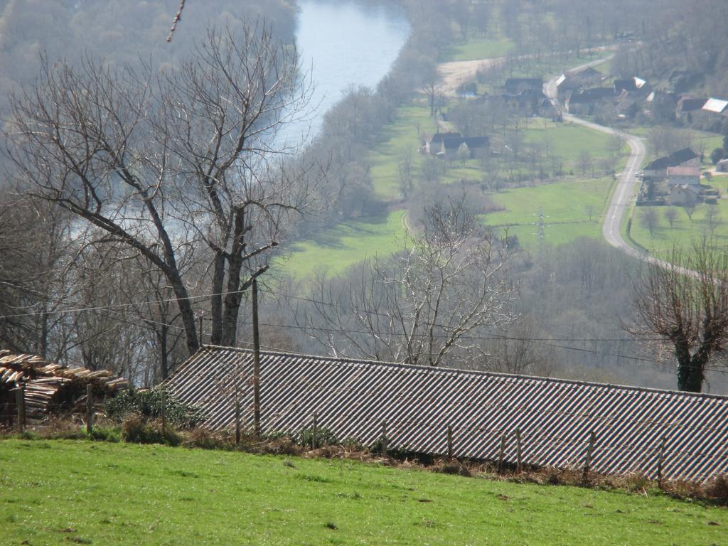 Le Petit Chat Beaulieu-sur-Dordogne Bagian luar foto